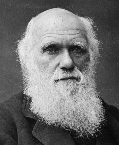 Novas Descobertas A Grande Descoberta CientÍfica De Charles Darwin