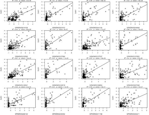 Pearsons Correlation Analysis Between The Expression Of The Dof01 Gene