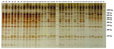 Inter Simple Sequence Repeats Technology Service Lifeasible