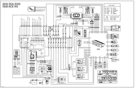 Sea Doo Wiring Diagram