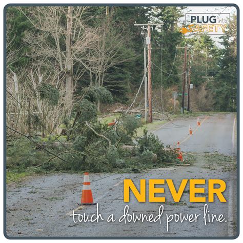 Avoid downed power lines! - Indiana Electric Cooperatives