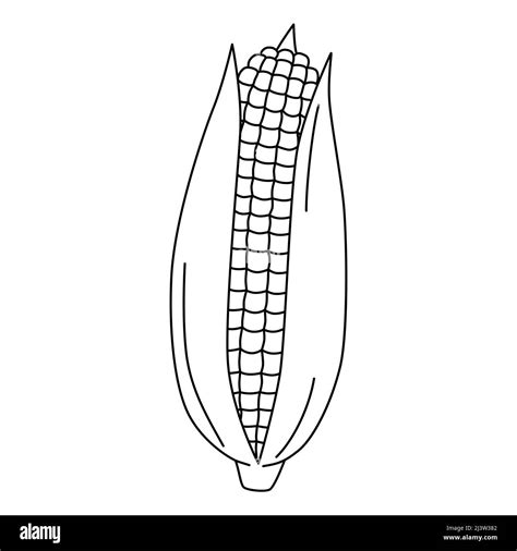 Cartoon maize ear coloring page. Vector illustration of mature corn ...