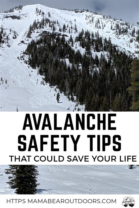 a snowy mountain with pine trees and the words avalanche safety tips ...