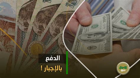 بالاجبار مجلس الشيوخ يثير الجدل بشأن المصريين في الخارجتخصيص نسبة من