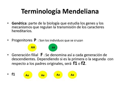 SOLUTION Clase 2 Gen Tica Mendeliana Studypool