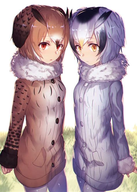 Northern White Faced Owl Kemono Friends Zerochan Anime Image Board