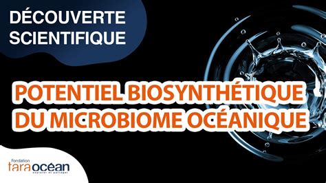 D Couverte Scientifique Potentiel Biosynth Tique Du Microbiome