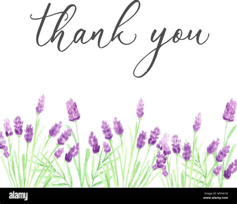 Thank You Card Template With Hand Drawn Purple Watercolor Flowers Stock