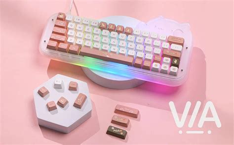 Epomaker Mini Cat Hot Swappable Acrylic Rgb Wired Mechanical Gaming Keyboard Mechanical Mini