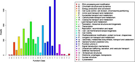 Cog Function Classification Of Consensus Sequences X Axis Represented