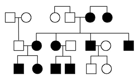 Sex Chromosome And Mitochondrial Disorders Exam 1 Flashcards Quizlet