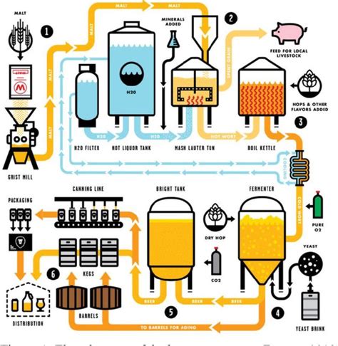 Brewing Process Diagram Steps How Is Craft Beer Made