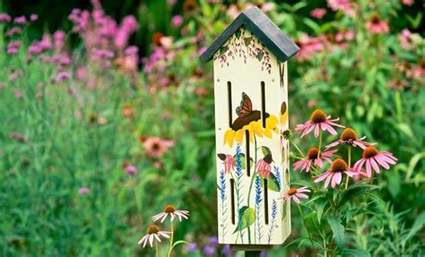 Attract Butterflies To Your Garden And Help Support Them With Our