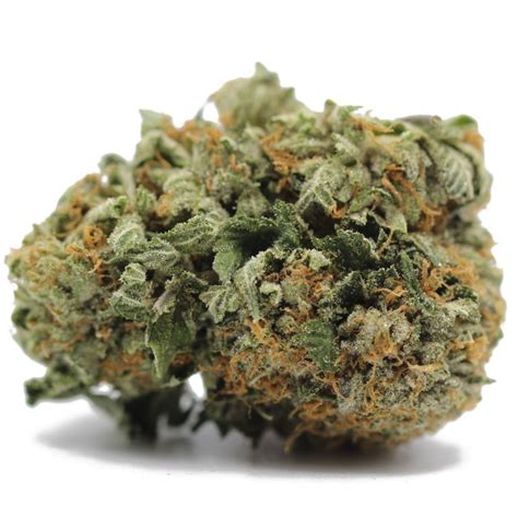 Sensi Star Aa Gram Crazycannabis Online Dispensary Canada