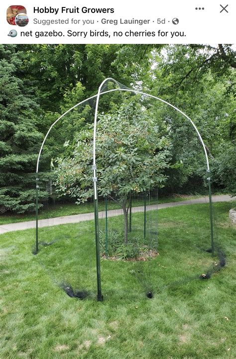 Don t fall victim to these zone 8 planting schedule errors cultivating
