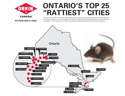 Ontarios Top 25 Rattiest Cities 2022 Orkin Canada Canada