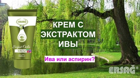 #Ива или #аспирин? Эффективный натуральный #крем от проблем #суставов и ...