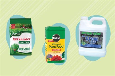 The 9 Best Fertilizers Of 2022 By The Spruce