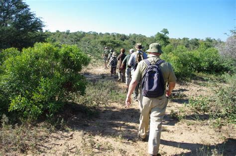 About Walking Trails - Kruger National Park - African Holidays