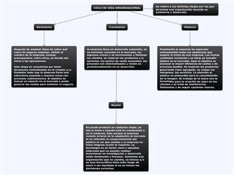 Ciclo De Vida Organizacional Mind Map