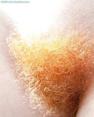 Hairy Red Pussy Porn Pics PICTOA