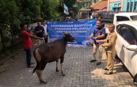 Program Peduli Pt Pelindo Regional Banten Kembali Salurkan Hewan