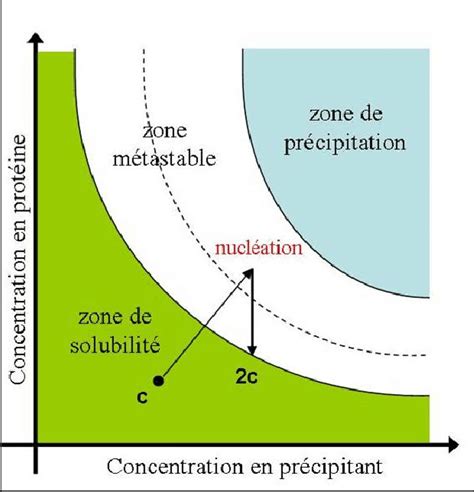 Diagramme de phases du processus de cristallogenèse La flèche indique