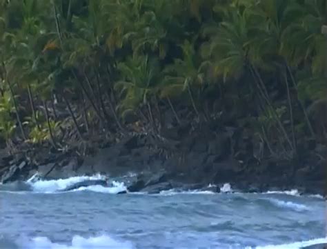 Devil’s Island. Deadly documentary on Devil’s Island… | by ram | Medium