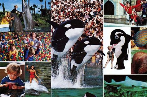 Sea World San Diego in the '70s & '80s, when you could see Shamu the ...