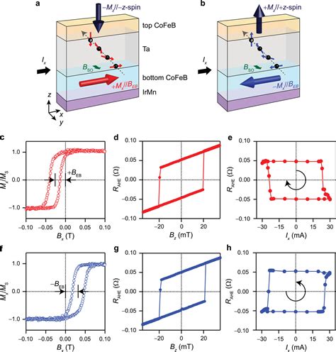 Spintronic Physical Unclonable Functions Based On Fieldfree Spinorbit