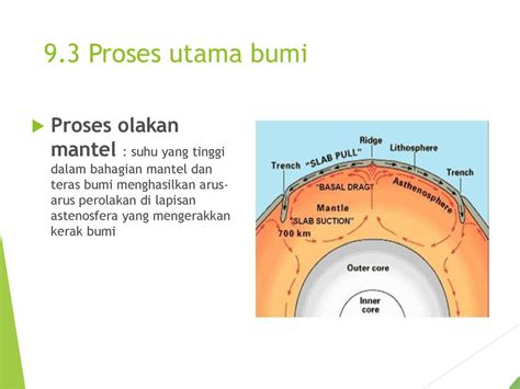 Kepentingan Lapisan Kerak Bumi Kepada Hidupan Liar Skema Jawapan