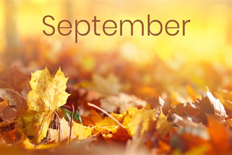 Here is your September support! 