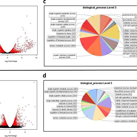 Results Of The Dual Transcriptome Analyses A Volcano Scatter