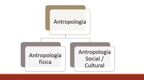 Ramas De La Antropologia