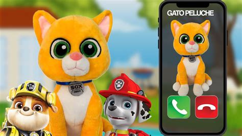 El Gato Mas Lindo Del Mundo Busca A Los Paw Patrol Marshall Y