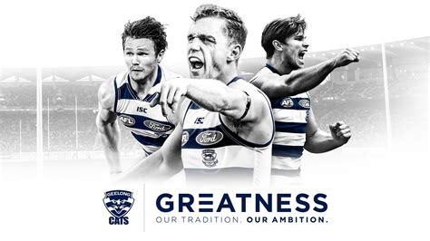 Geelong Wallpapers Top Free Geelong Backgrounds Wallpaperaccess