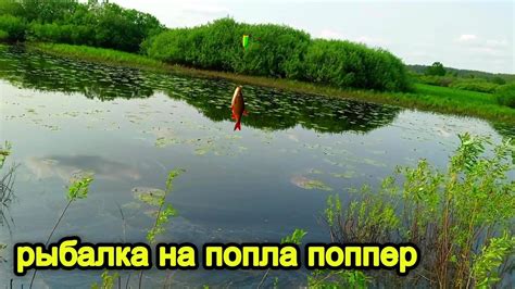Рыбалка на попла - поппер. Рыбалка в Беларуси . Попла-поппер. - YouTube