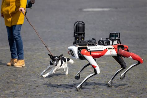 Un cane robot per controllare la sicurezza delle città Wired