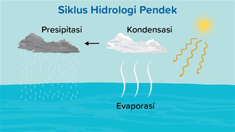 Detail Gambar Siklus Hidrologi Pendek Koleksi Nomer 19