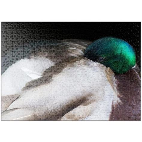 Canard Colvert Premium Pi Ces Puzzle Collection Sp Ciale Mypuzzle