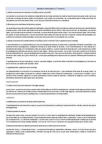 Posibles Preguntas Examen Parcial Pdf