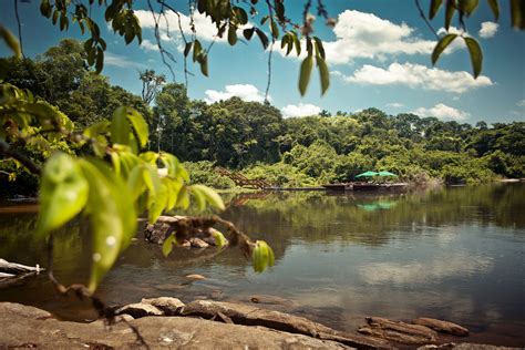 Cristalino Jungle Lodge - Vaya Adventures - Vaya Adventures