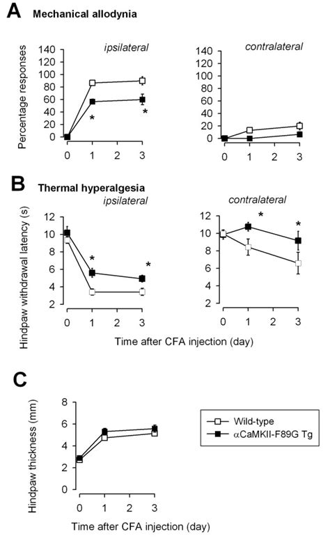 Reduction Of Behavioral Sensitization Allodynia And Hyperalgesia