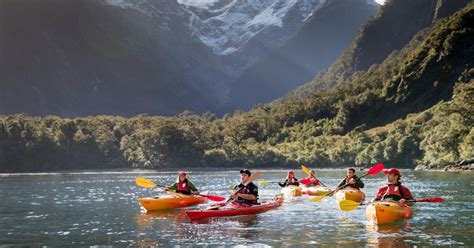 Cruise & Kayak Milford Sound | GetYourGuide