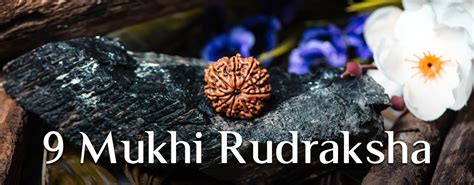 Nine Mukhi Rudraksha Everything You Need To Know