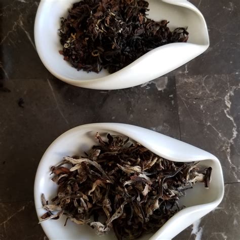 Hot Leaf Juice