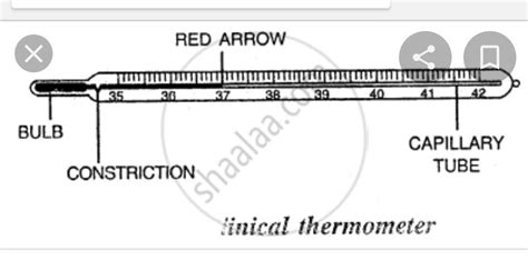 Labeled Diagram Of A Thermometer