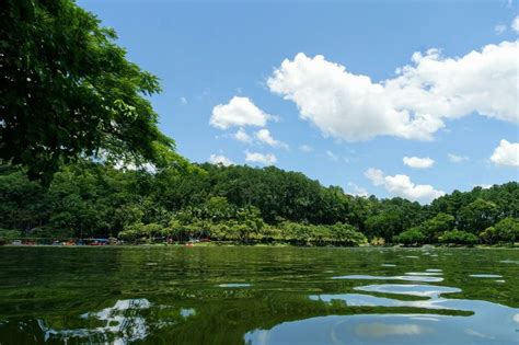 Parque Malwee Jaragu Do Sul Sc Brasil Golf Courses Field Golf