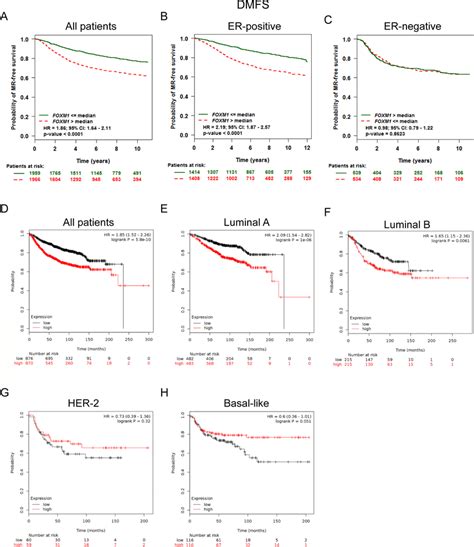 Elevated Foxm1 Expression Predicted Shorter Dmfs In Bc Patients