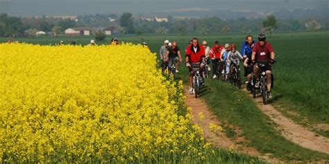 Radroute am Grünen Band im nördlichen Harzvorland Radtour